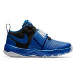 Детские баскетбольные кроссовки Nike Team Hustle D 8 (PS) | 881942-405
