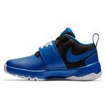 Детские баскетбольные кроссовки Nike Team Hustle D 8 (PS) | 881942-405