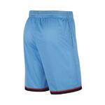 Баскетбольные шорты Nike Dri-FIT Classic | AQ5600-462