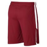 Шорты Jordan Dri-FIT 23 Alpha  | 905782-688