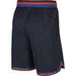 Шорты Nike Dry DNA  | AT3150-451