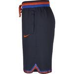 Шорты Nike Dry DNA  | AT3150-451