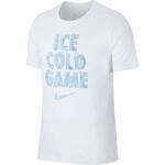 Футболка Nike Dri-FIT | CD0945-100