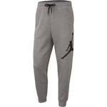 Штаны Jordan Jumpman Logo | BQ8646-091