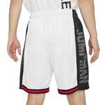 Шорты Jordan Jumpman | CD4906-100