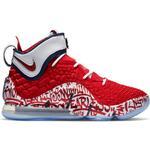 Баскетбольные кроссовки Nike LeBron 17 FP | CT6047-600