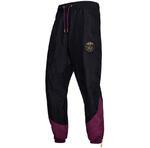 Штаны Jordan Paris Saint-Germain | CZ3767-010