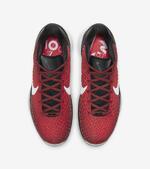 Баскетбольные кроссовки Nike Kobe VI Protro “All-Star” | DH9888-600