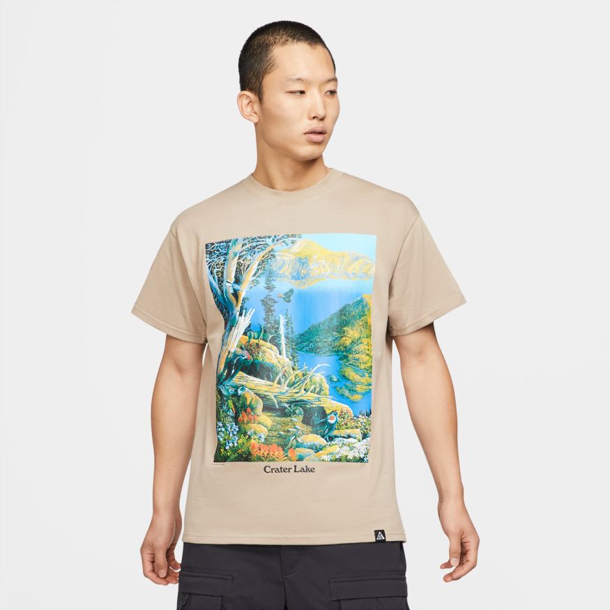 Купить Футболка Nike ACG "Crater Lake" | DA4877-247 в Москве или заказать доставку на Slamdunk.su