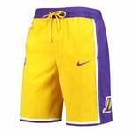 Баскетбольные шорты Nike Los Angeles Lakers Courtside Heritage | CV5602-728