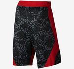 Шорты Jordan Dominate 2.0 Printed Shorts | 615072-010