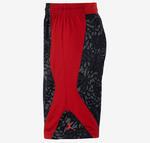 Шорты Jordan Dominate 2.0 Printed Shorts | 615072-010