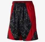 Шорты Jordan Dominate 2.0 Printed Shorts | 615072-010
