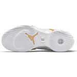 Баскетбольные кроссовки Air Jordan XXXVI SE "Glory" | DJ4482-100