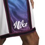 Баскетбольные шорты Nike Dri-FIT DNA+ - картинка