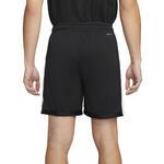 Баскетбольные шорты Jordan Sport Dri-FIT | DH9077-010