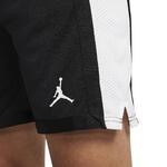 Баскетбольные шорты Jordan Sport Dri-FIT - картинка