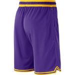 Баскетбольные шорты Nike Los Angeles Lakers DNA | DH9175-504
