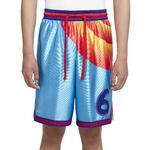 Баскетбольные шорты Nike LeBron x Space Jam: A New Legacy "Tune Squad" | DJ3869-434