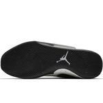 Баскетбольные кроссовки Air Jordan Fly Lockdown PFX  - картинка