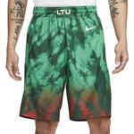 Баскетбольные шорты Lithuania Nike (Road) Limited | CQ0193-341
