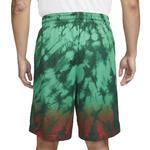 Баскетбольные шорты Lithuania Nike (Road) Limited | CQ0193-341