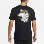 Футболка Nike Dri-Fit Lebron Logo | DD0784-011