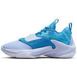 Баскетбольные кроссовки Nike Zoom Freak 3 | DA0695-401