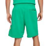 Шорты Jordan Sport DNA | CZ4847-372
