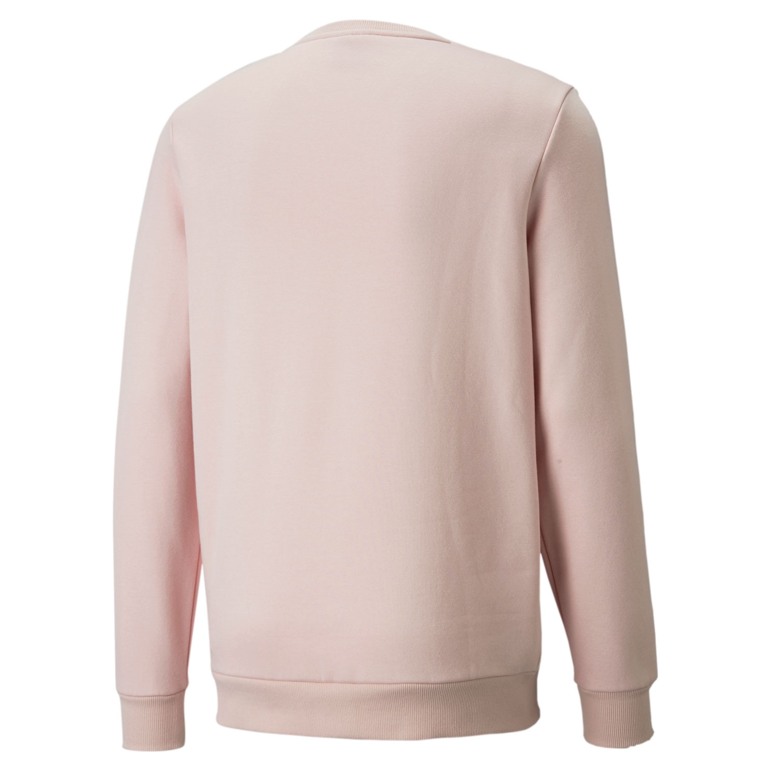 Купить Толстовка Puma ESS Big Logo Crew | 58676216 в Москве или заказать доставку на Slamdunk.su