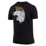 Футболка Nike Dri-Fit Lebron Tee T-shirts - картинка