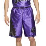Баскетбольные шорты Nike LJ DF SHORT  - картинка