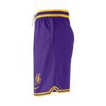 Баскетбольные шорты Nike Men Basketball NBA Los Angeles Lakers | DH9176-504