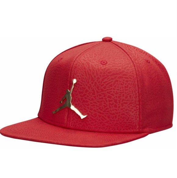 Кепка JORDAN PRO INGOT Snapback Hat  - картинка