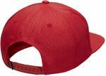 Кепка JORDAN PRO INGOT Snapback Hat  - картинка