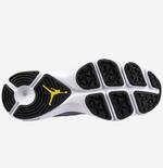 Кроссовки Jordan Flight Runner | 631606-070