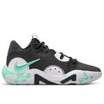 Баскетбольные кроссовки Nike PG 6 | DH8447-001/DC1974-001