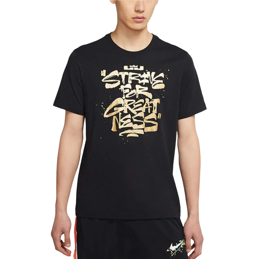 Купить Футболка Nike Lebron | DD0786-011 в Москве или заказать доставку на Slamdunk.su