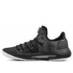 Баскетбольные кроссовки Under Armour Hovr Havoc Low - картинка