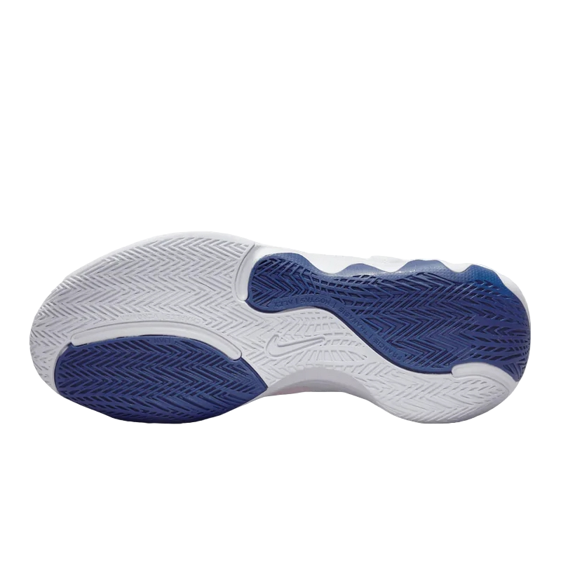 Купить Баскетбольные кроссовки Nike Giannis Immortality 2 | DM0825-102 в Москве или заказать доставку на Slamdunk.su