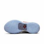 Баскетбольные кроссовки Nike LeBron XX | DJ5422-100/DJ5423-100