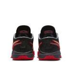 Баскетбольные кроссовки Nike LeBron XX | DJ5422-001