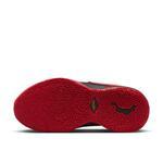 Баскетбольные кроссовки Nike LeBron XX | DJ5422-001
