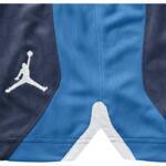 Шорты Jordan Flight Knit Shorts | 642240-410