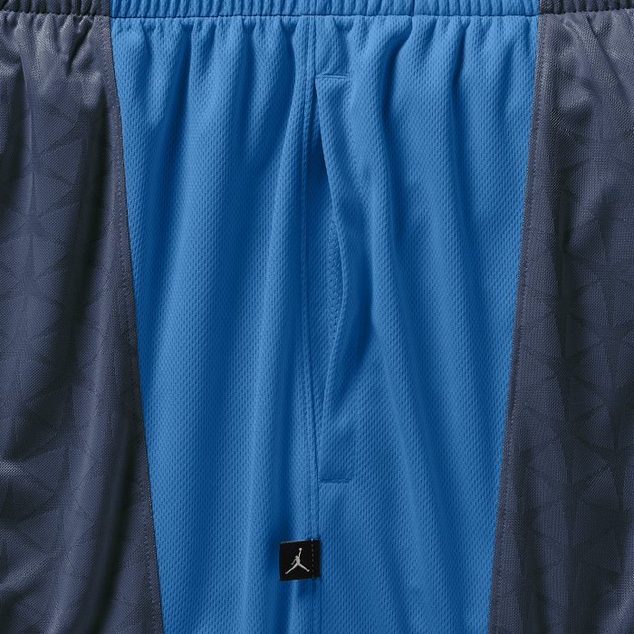 Купить Шорты Jordan Flight Knit Shorts | 642240-410 в Москве или заказать доставку на Slamdunk.su