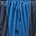 Шорты Jordan Flight Knit Shorts | 642240-410