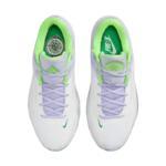 Баскетбольные кроссовки Nike Zoom Freak 4 | DJ6149-101