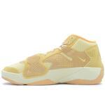 Баскетбольные кроссовки Jordan Zion 2 SE | FJ2956-200/FJ2957-200