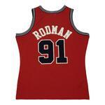 Джерси Mitchell & Ness Off Court Chenille Swingman Dennis Rodman Chicago Bulls 1997-98 | TFSM5882-CBU97DRDRED