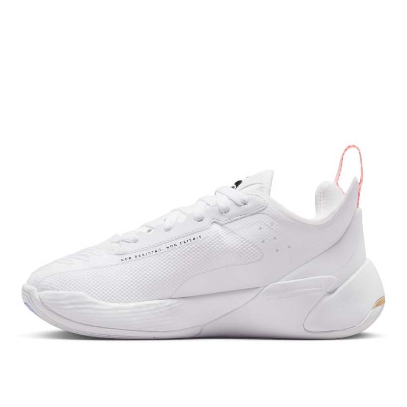 Купить Баскетбольные кроссовки Jordan Luka 1 Dawgs Enfant GS  | DQ6513-106 в Москве или заказать доставку на Slamdunk.su